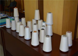 組圖 全國針織用紗線產(chǎn)品質(zhì)量提升活動(dòng)總結(jié)會(huì)在魏橋集團(tuán)召開
