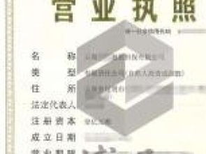 企業(yè)注冊(cè)與法律咨詢服務(wù)全攻略 深圳執(zhí)照、區(qū)塊鏈執(zhí)照、商業(yè)保理執(zhí)照及重慶法律商務(wù)咨詢解析